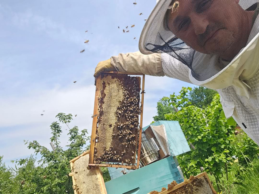 Opasni azijski stršljen uskoro dolazi i kod nas