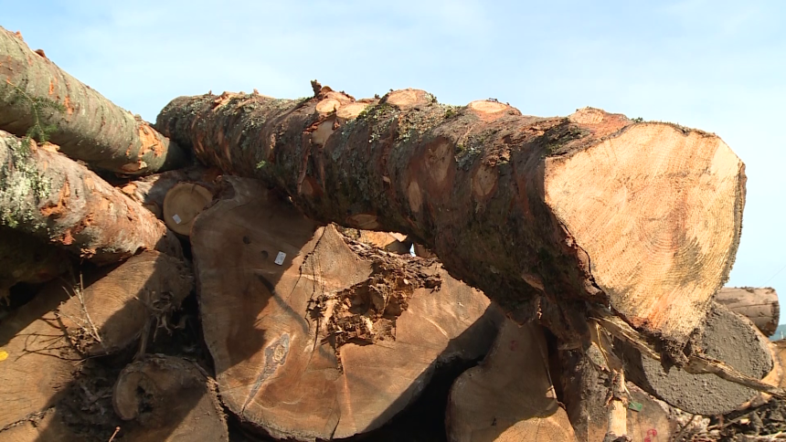 Radnici ŠG „Oštrelj-Drinić“ od srijede stupaju u štrajk