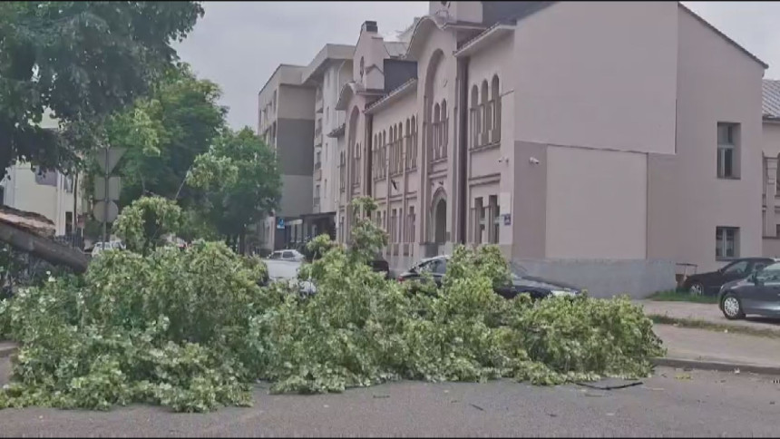 Bijeljina: Jak vjetar srušio stablo, ulica bila blokirana