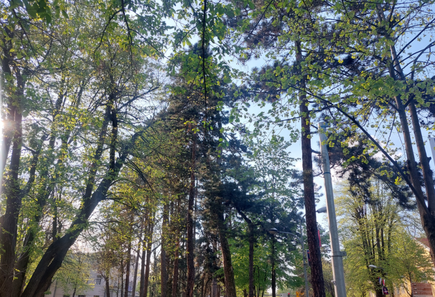 Danas sunčano i toplo, poslije podne naoblačenje