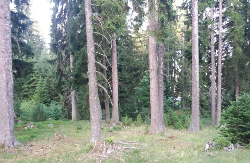 I radnici ŠG Čemernica iz Kneževa najavil štrajk