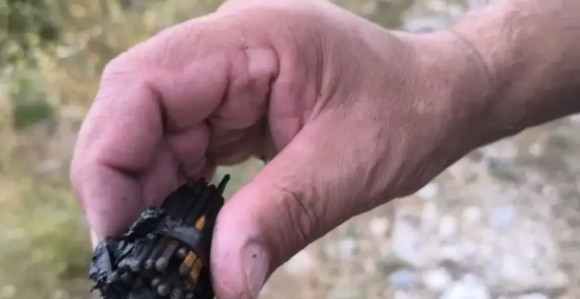 Hrvatski ministar: Piromane treba više sankcionisati