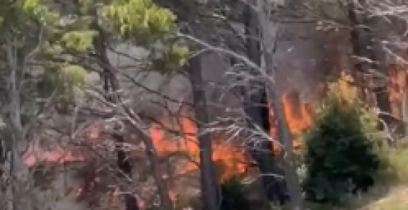 Novi požar kod Makarske: Vatra se približila kućama