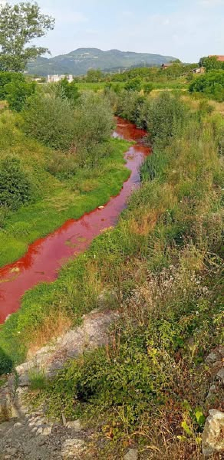 Pravi ekološki incident na rijeci Sapni u Zvorniku