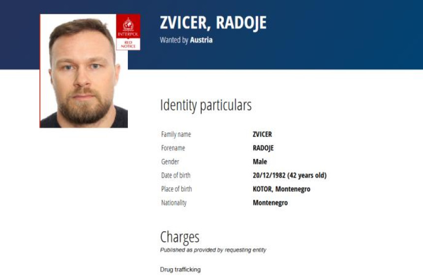 Велика акција у Србији: Ухапшени сарадници Радоја Звицера