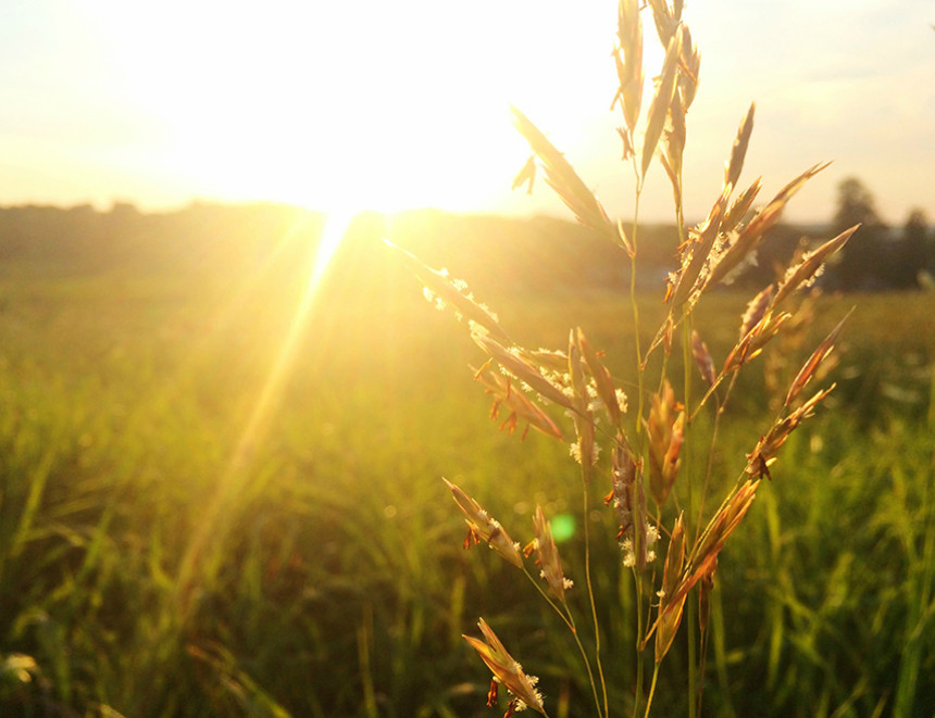 Sunčano i vruće, temperatura i do 40 stepeni