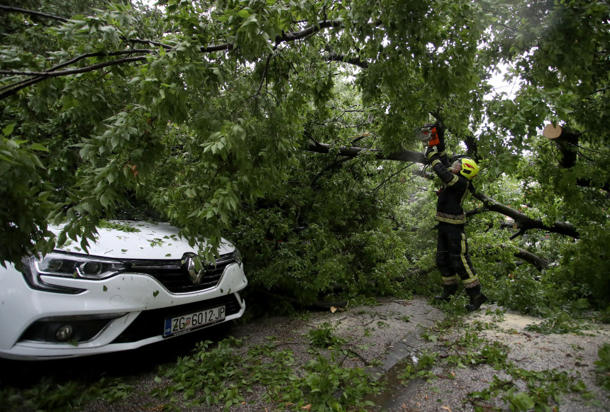Jaka oluja poharala Zagreb: Vjetar čupao stabla iz korijena