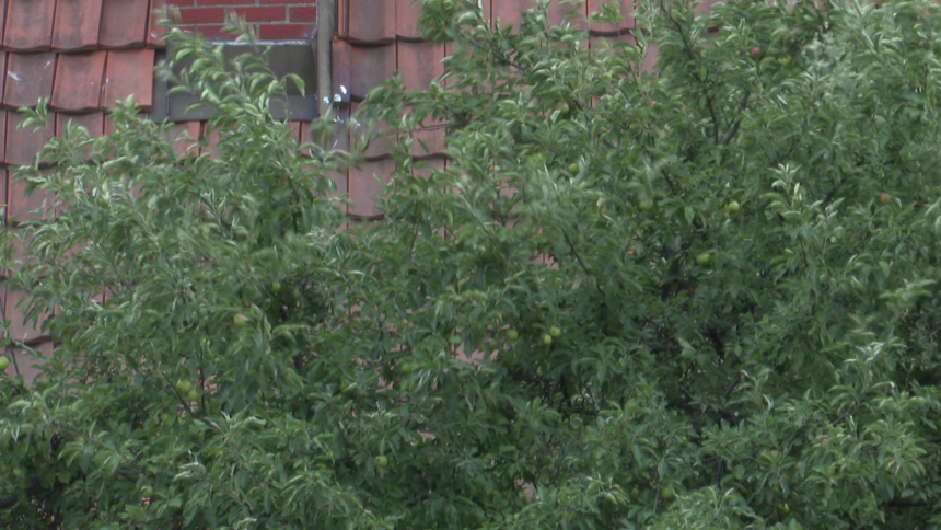 Sutra kiša, pljuskovi, nepogode i nagli pad temperature