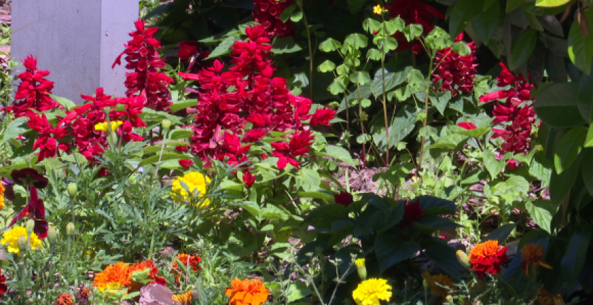 Tropski dan: Maksimalna temperatura do 40