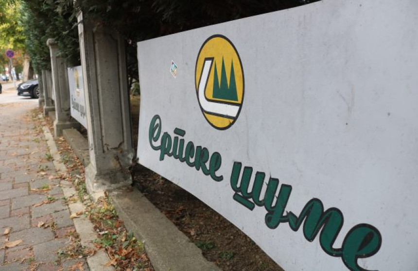 Gubici u Šumama RS posljedica su dugogodišnje pljačke