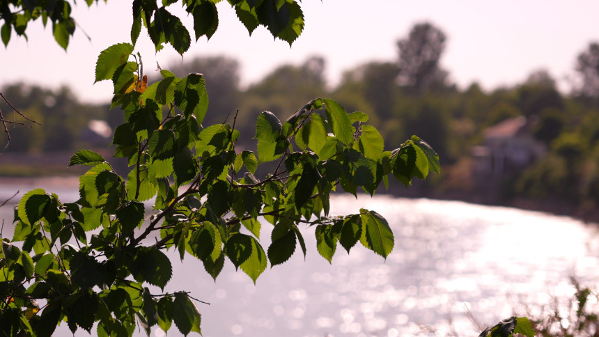 Pretežno sunčano i vruće, temperatura do 38 stepeni