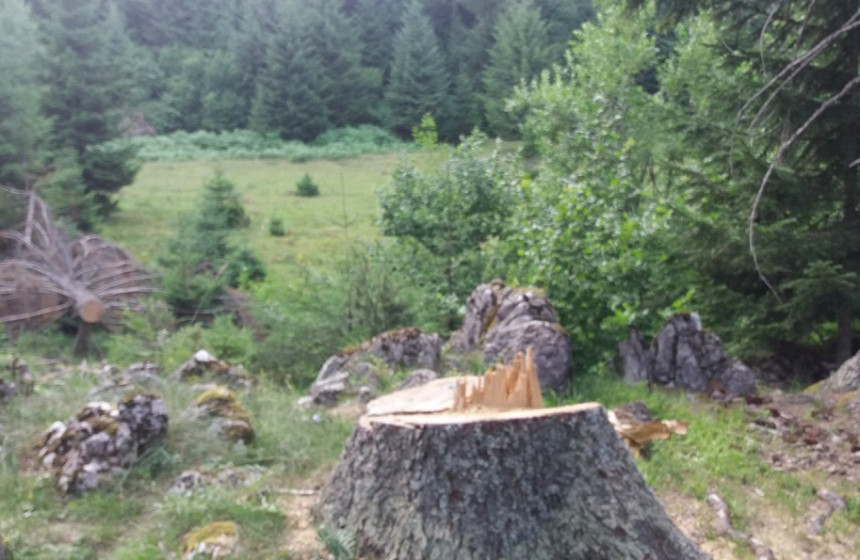 Štrajk radnika ŠG "Čemernica", traže plate i regres