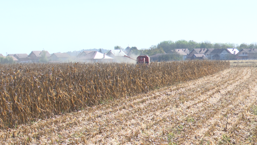 Minić u avgustu ove isplatio podsticaje iz prošle godine