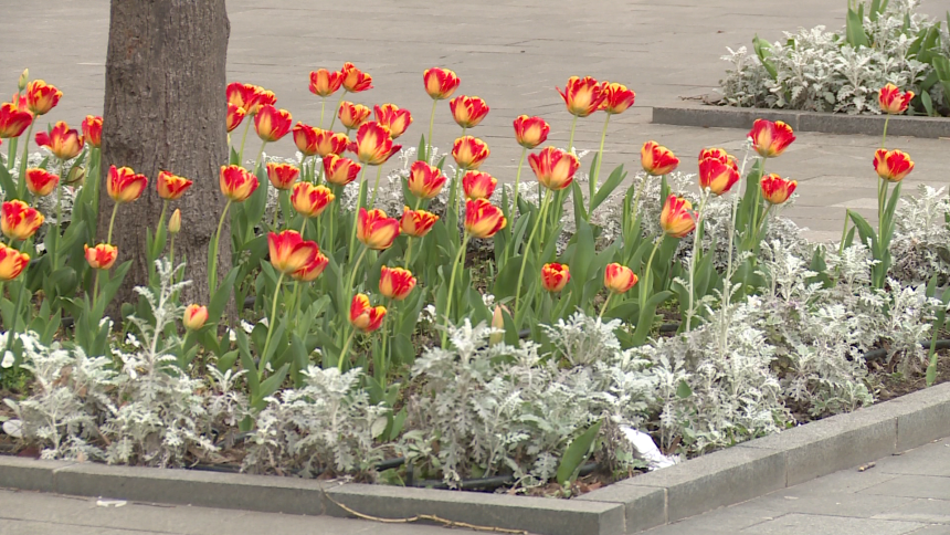 Poznata prognoza za naredne dane: Šta nosi septembar?