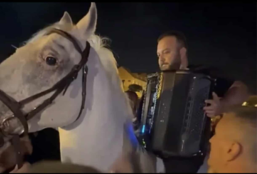 Borko Radivojević na jednoj svadbi se popeo na belog konja, pa zasvirao!