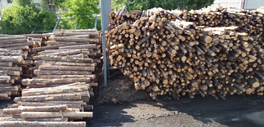 Akcija hapšenja u Hrvatskim šumama zbog korupcije