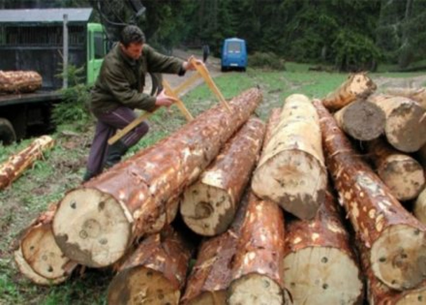 Minić objavio rat “šumskoj mafiji”!?