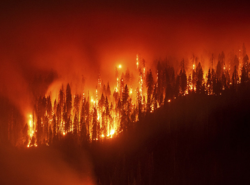 Požar na istoku Grčke, gori zemljište i maslinjaci