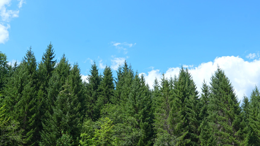 Sunčano i veoma toplo, prolazna oblačnost na sjeveru