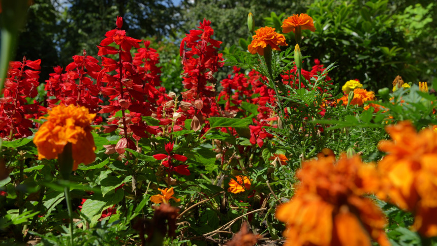 Danas pretežno sunčano, temperatura do 34 stepena