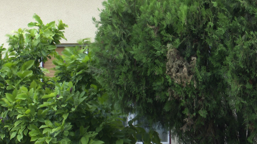 Danas sunčano i toplije, popodne i uveče naoblačenje