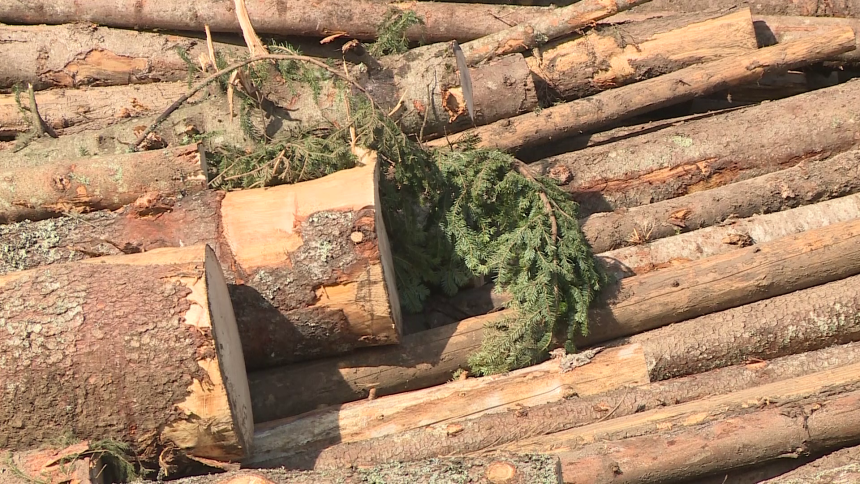 Srpskoj treba jak premijer, dosta je bilo "Radovana nejakih"