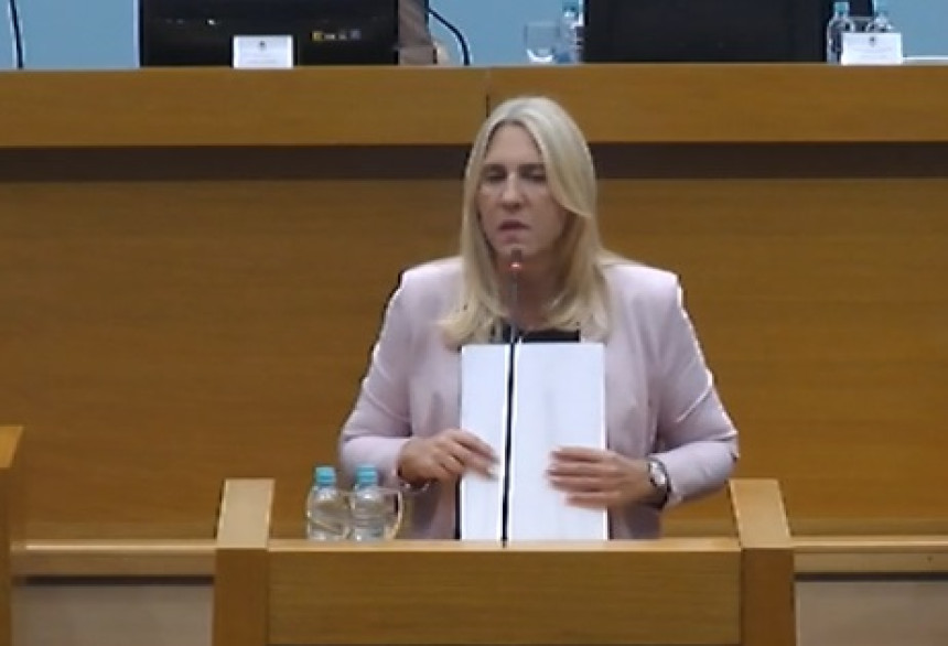 Željka poslala poruku na engleskom: Zadatak odrađen!