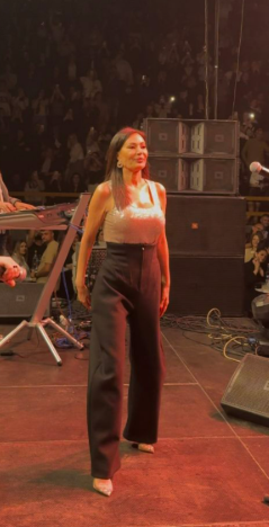 Ceca otkrila šta se desilo na koncertu u Makedoniji