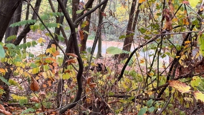 Svježije vrijeme, u drugom dijelu dana razvedravanje