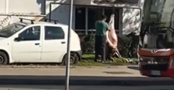 Zbog ove scene u Nišu cijela Srbija se smije i krsti (VIDEO)