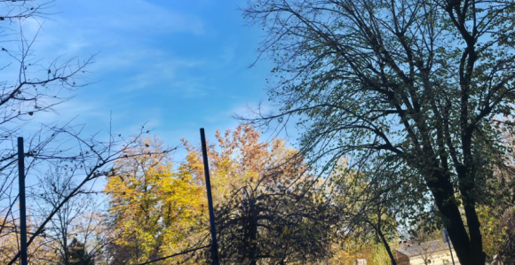 Danas toplo, temperatura čak i do 22 stepena