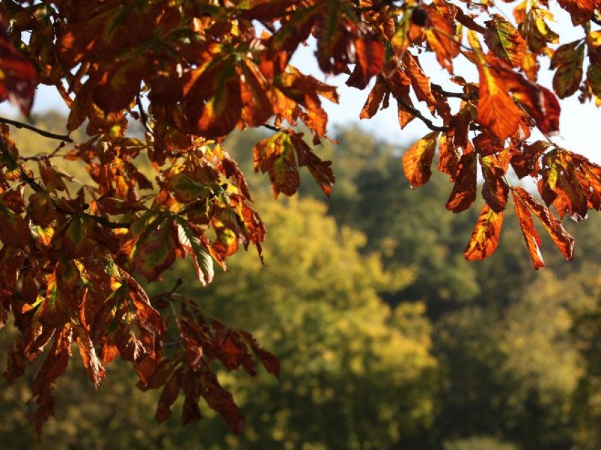 Sunčanije i toplije, uz temperaturu do 17 stepeni