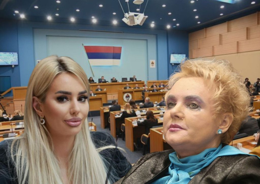 Poslanica Nikolina Šljivić nije  u sukobu interesa