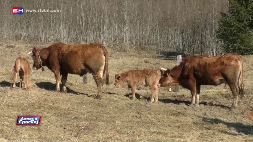 Ministarstvo nakon potvrde antraksa: Ozbiljna situacija