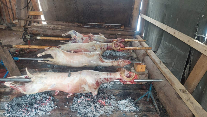 Nakon sječe badnjaka, domaćini peku pečenice