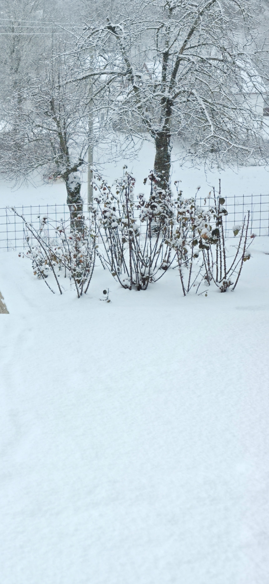 Sutra snijeg širom BiH, na istoku do 15 centimetara