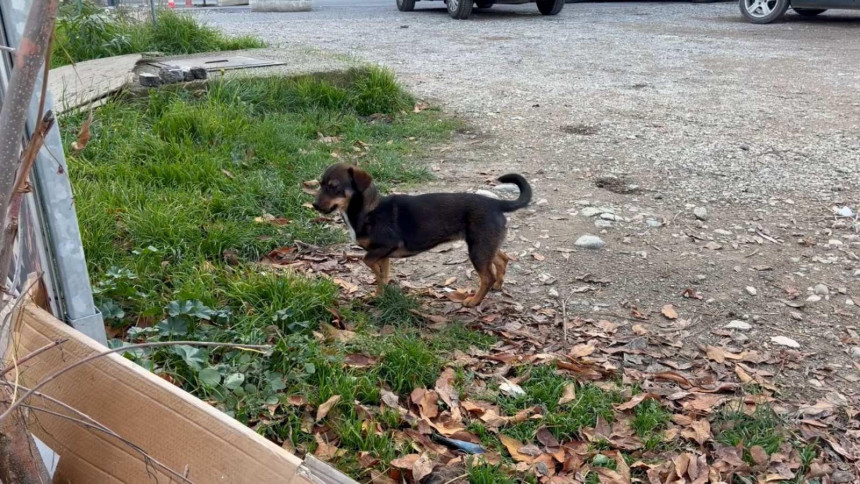 Danas pretežno oblačno i hladno vrijeme