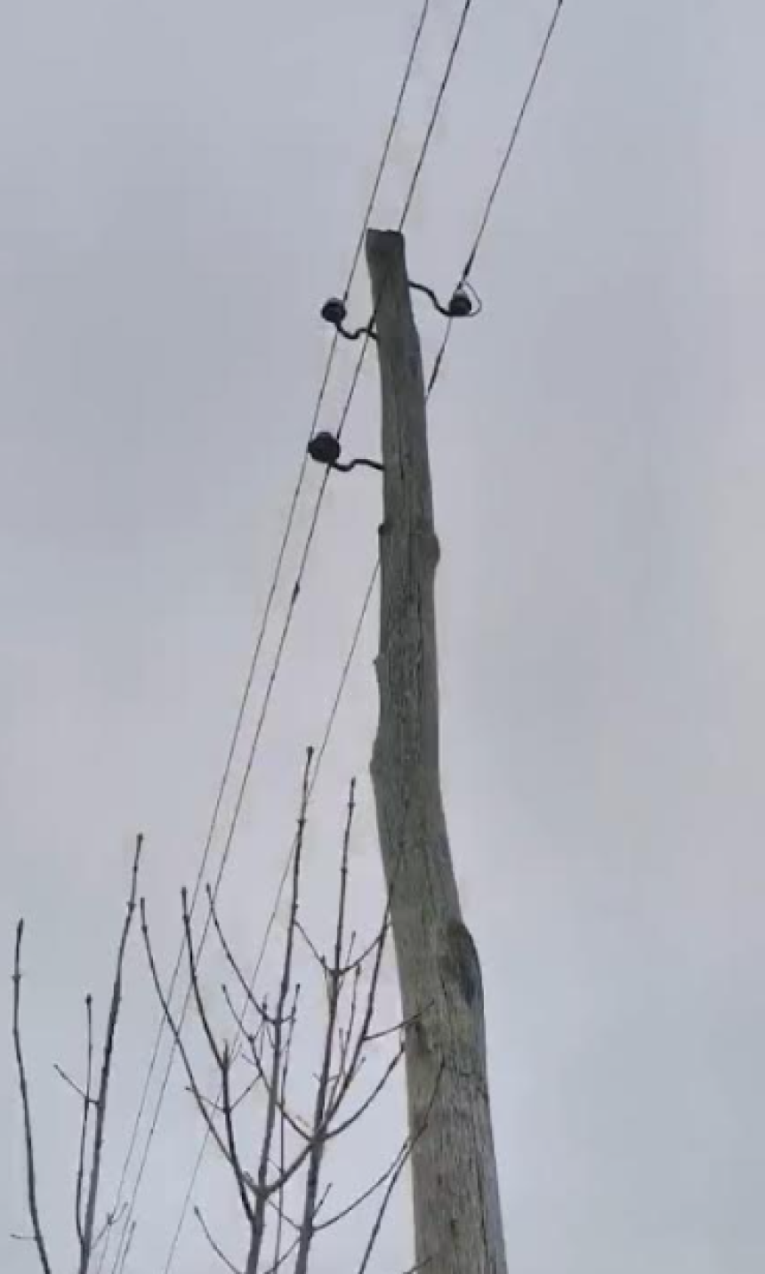 Katastrofalno stanje na elektromreži na području Laktaša