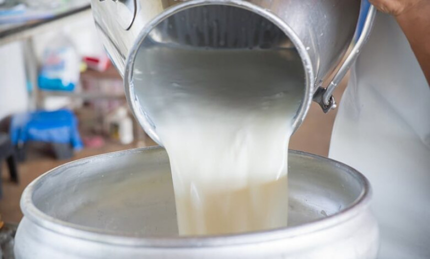 Samo u januaru uvezeno preko dva miliona KM mlijeka