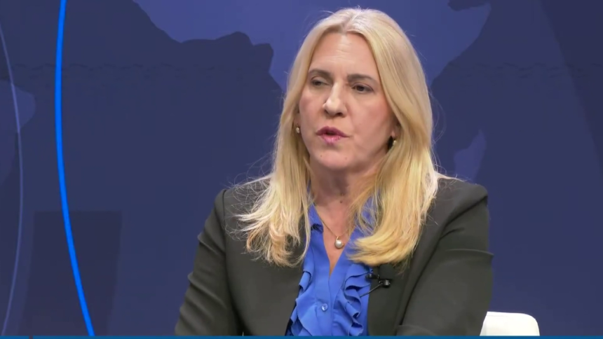 Pogledajte šta je Cvijanovićeva rekla na panelu u Americi