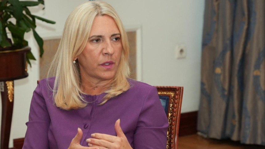 Cvijanović: Nismo tražili zahtjev za slijetanje u Minhen