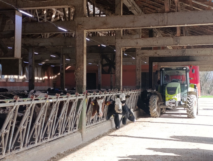 ​Gase se farme, podsticaji kasne, a vlast ne vidi razlog za uzbunu