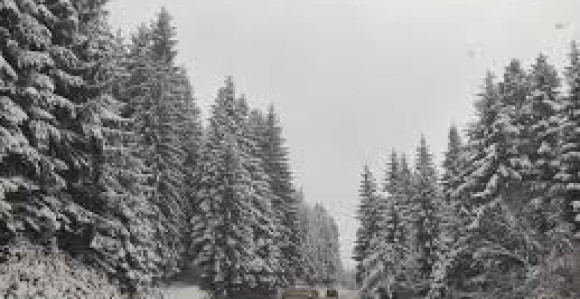 Jutros na Čemernu izmjereno minus četiri stepena