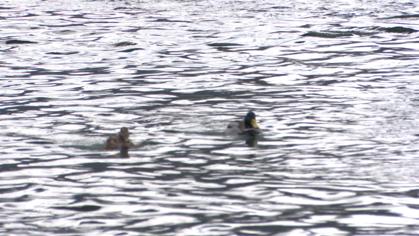 Padavine u Srpskoj nisu prestajale 28 dana u nizu