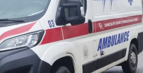 Ribnik: Starca ugrizla svinja, presjekla mu glavnu arteriju