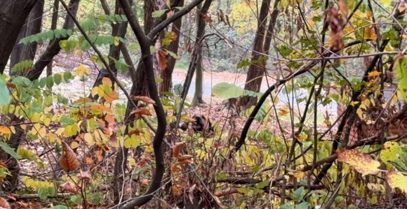 Danas će biti toplo i promjenljivo oblačno vrijeme