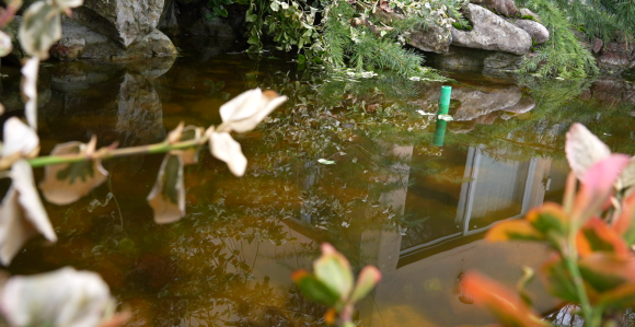 U većini krajeva uglavnom sunčano, do 20 stepeni