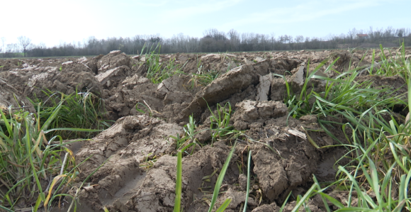Poljoprivrednici Semberije ogorčeni: Gdje su zalihe?