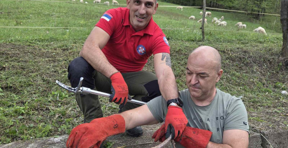 Lopare, upozorenje: Uočene zmije - poskoci u blizini škole