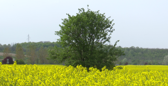 Облачно и свјежије вријеме са кишом, на југу до 22°Ц